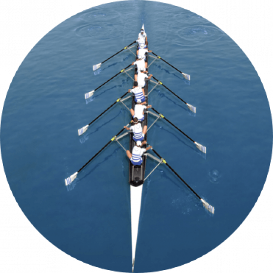 Aziende, brand, punti vendita.