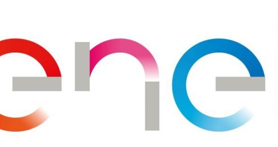 Enel X e Gruppo Cremonini insieme per soluzioni energetiche sostenibili