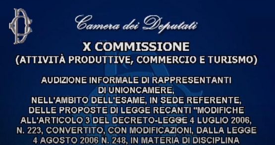 Camera: audizioni ISTAT, CNEL, Confesercenti, Federdistribuzione, Confindustria, Unioncamere, CNA e Confartigianato su Ddl disciplina orari esercizi commerciali