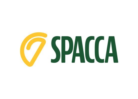 Spacca